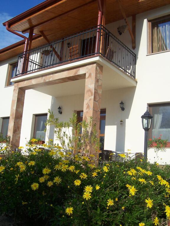 Anna Panzio Hotel Dunavarsany Exterior photo